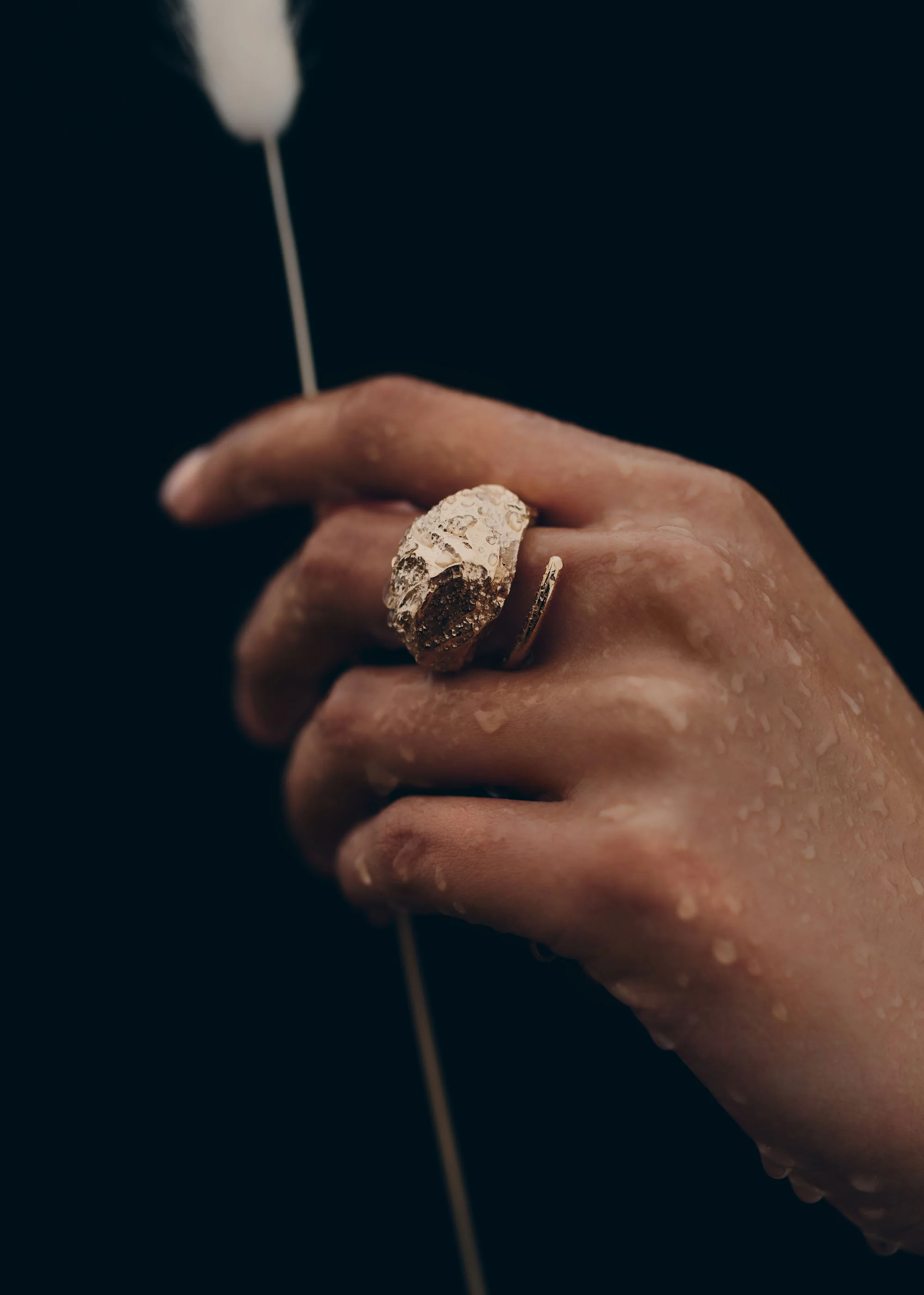 Bague Eroz - Dorée à l’or 24 carats - Image 3