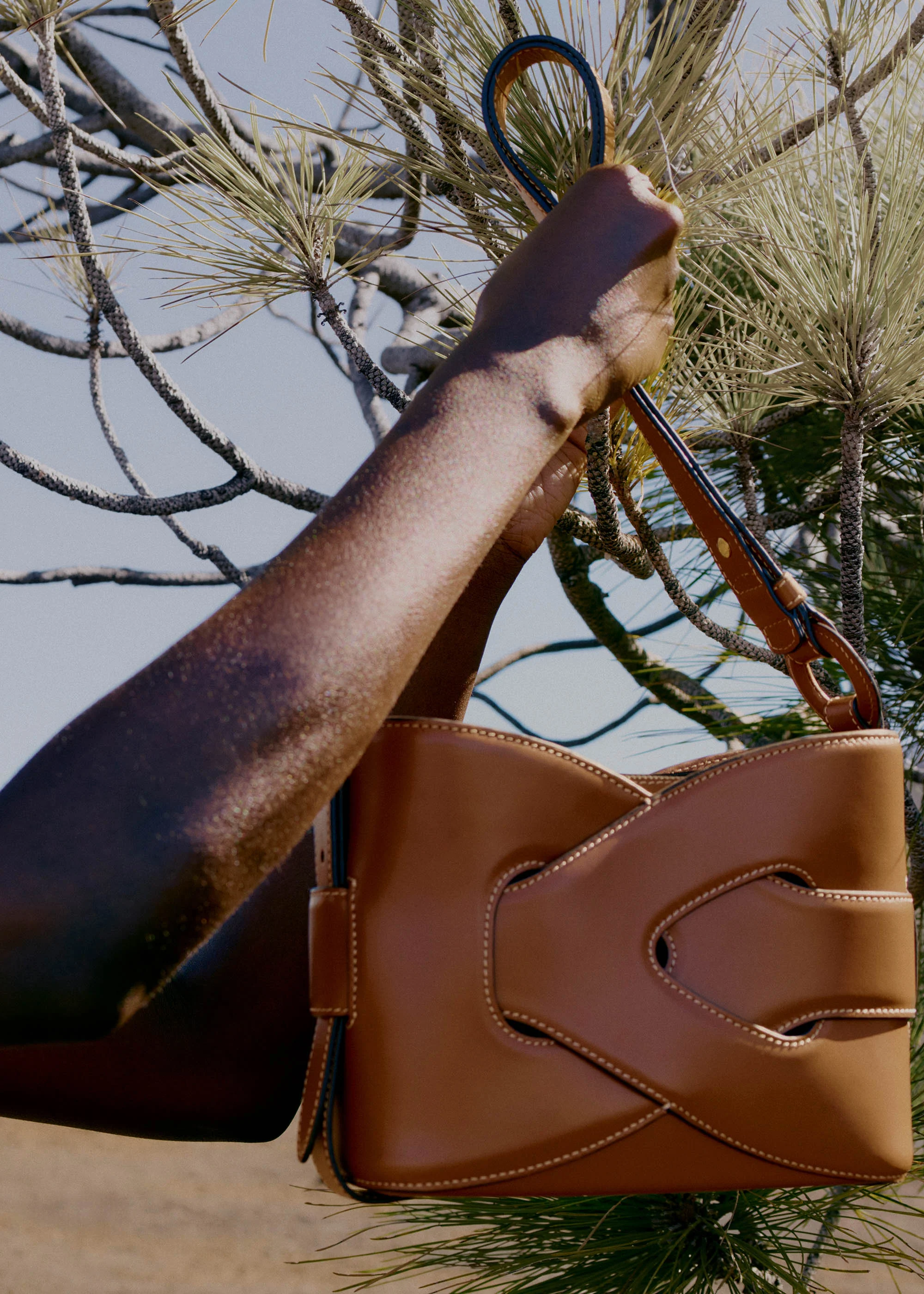 Nodde - Cognac Lisse - Image 4