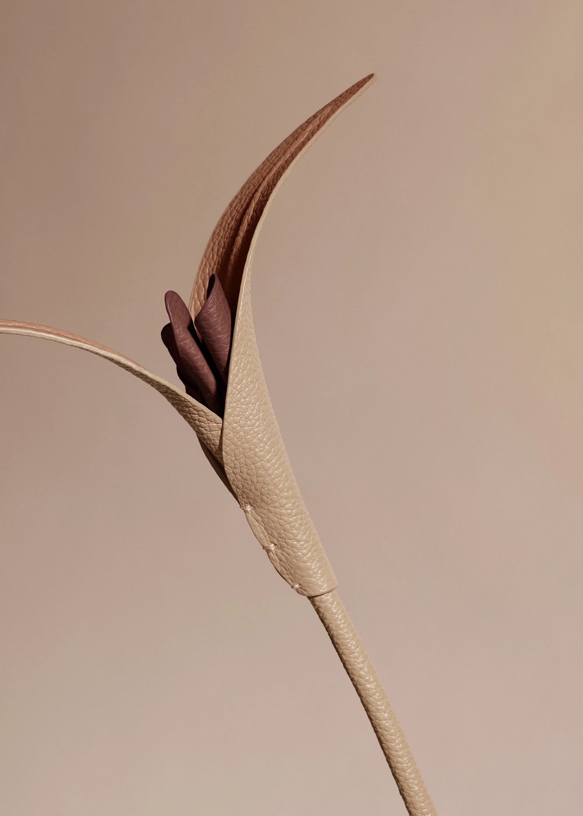 Fleur Touka - Beige - Image 3